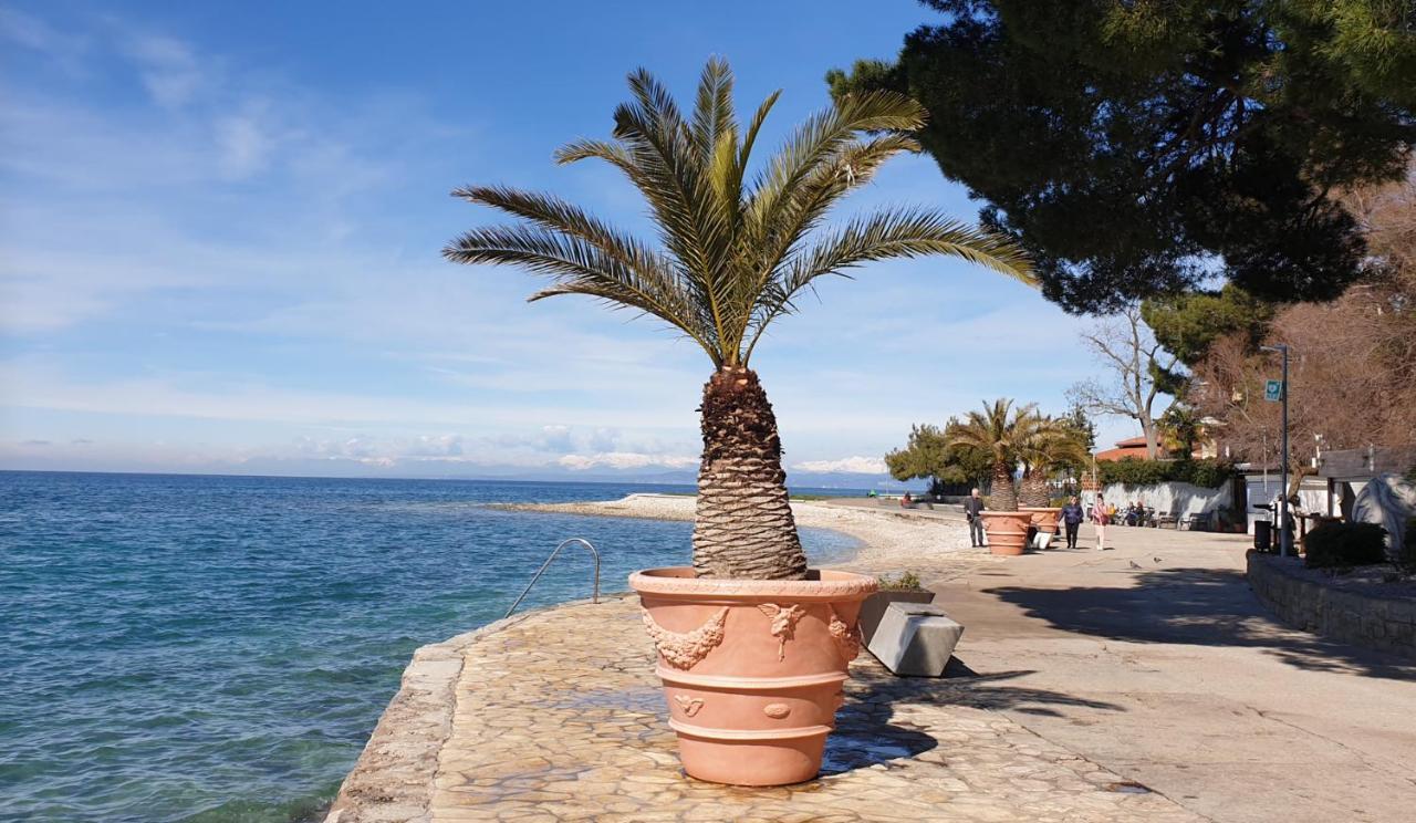Apartments Nautilus, Nearby Beach Svetilnik Izola Dış mekan fotoğraf